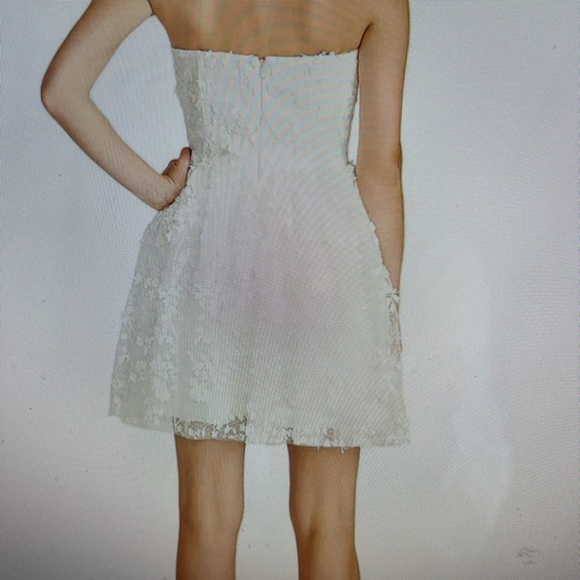 Gorgeous Monique Lluillier embroidered strapless mini dress - Picture 4 of 8